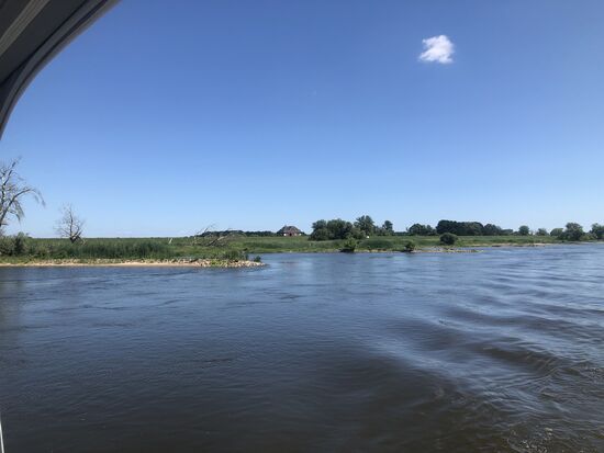 Auf der Elbe...