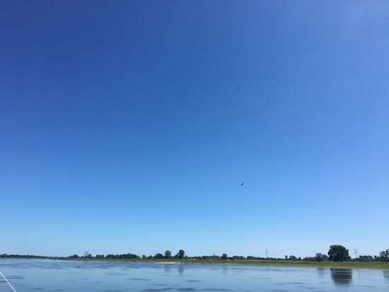 ...und rotem Milan ..... quiet alone on the far far river