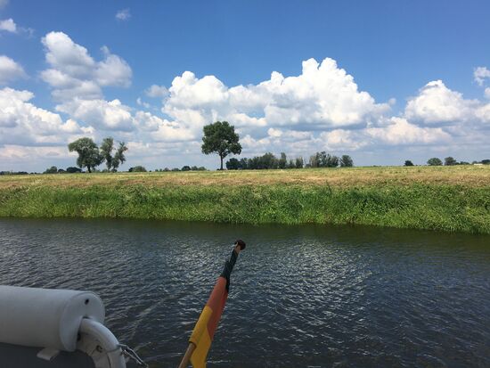 Am Liegeplatz mit Blick auf die Elbauen