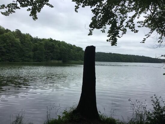Erster Blick auf den Lütauer See