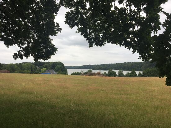 Blick von oben auf den Drüsensee