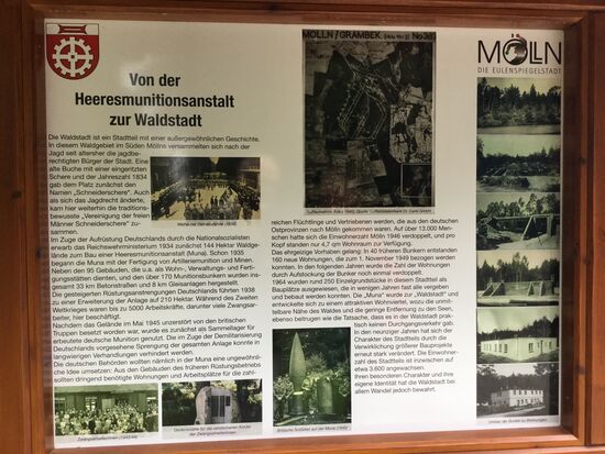 Spannende Geschichte der Waldstadt