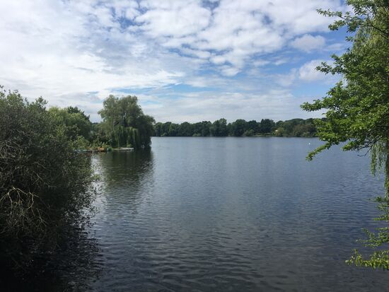 Blick auf der Brücke nach links auf den Stadtsee