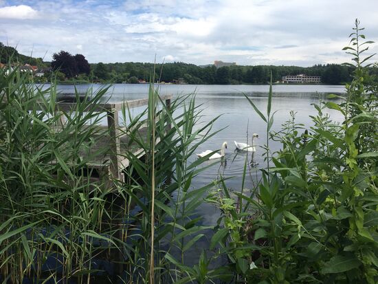 Blick auf den Schulsee