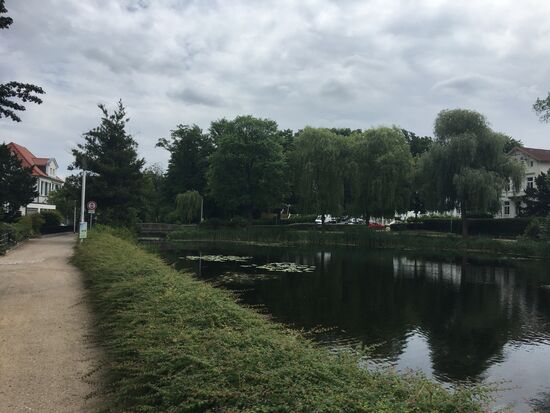 Der renaturierte Mühlengraben