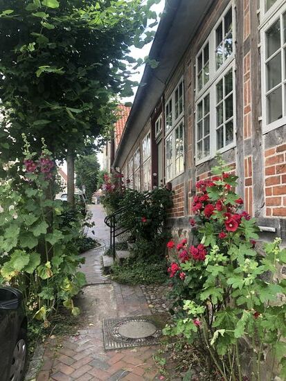 Die berühmte Schmiede Strasse mit Malven und Rosen