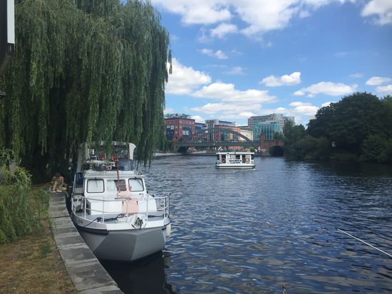 Und traumhaften Liegeplatz an der Lessingbrücke unter einer Trauerweide gefunden