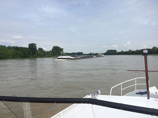 Wir düsen rheinabwärts, viele Berufsschiffe...