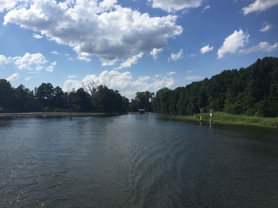 Blick zurück vom Wolziger See