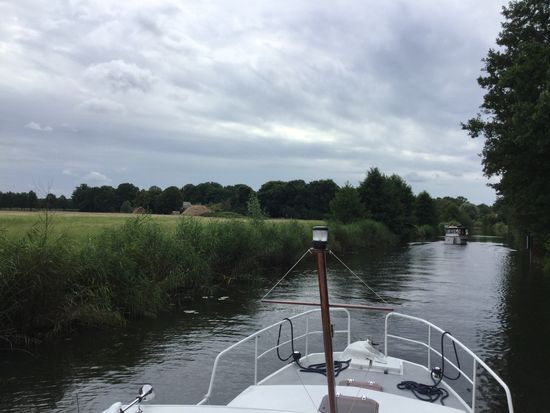 Auch mal weniger Wald ist ganz schön