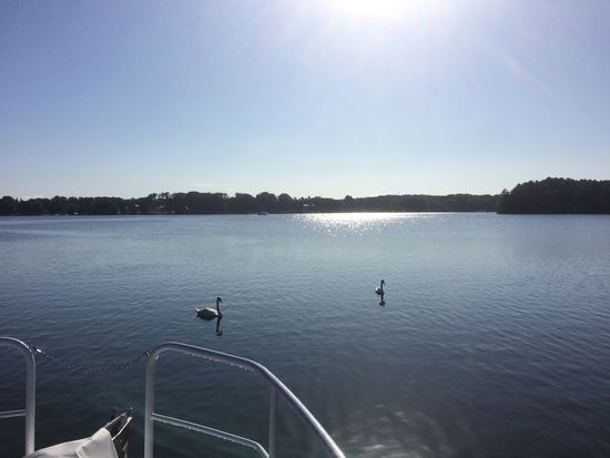 Herrlicher Morgen in Bad Saarow