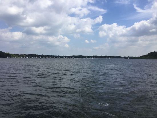 Regatta auf dem Dolgensee