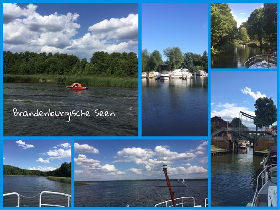 Anne hat eine neue App entdeckt, mit der man so tolle Bildzusammenstellungen machen kann