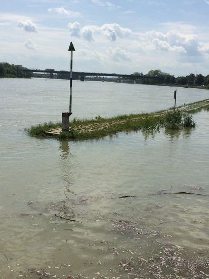 Gestern war diese Mole an der Einfahrt noch unter wasser!