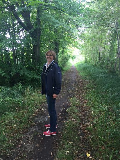 Schöner Pfad zwischen den Wassern