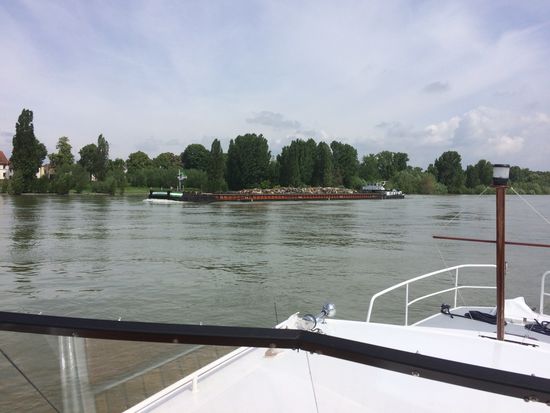 Keine Welle auf dem Rhein, ausser es kommt anderes Schiff.