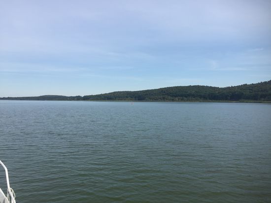Viel Natur am Schwielowsee