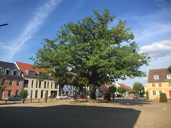 Auf der Insel in Werder