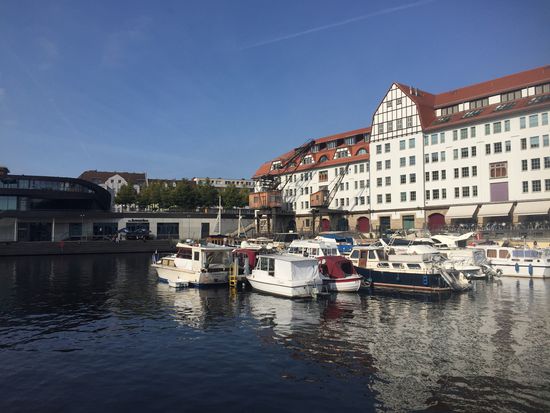 Morgens in Tempelhof