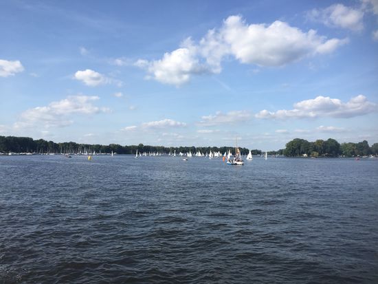 Regatta auf der Dahme