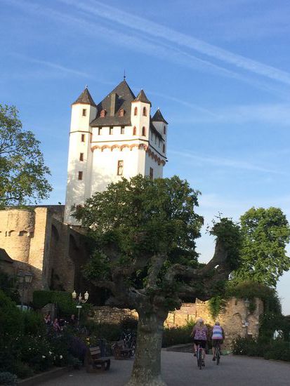 Die Burg in Eltville