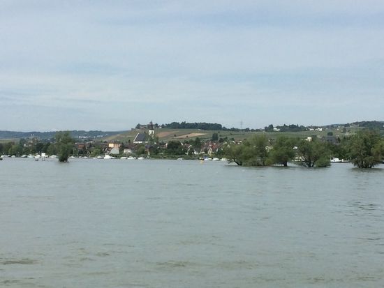Inselrhein bei Eltville