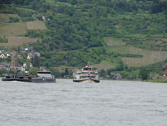 Und dann auch noch Gegenverkehr: Berufsschifffahrt und Raddampfer "Goethe"