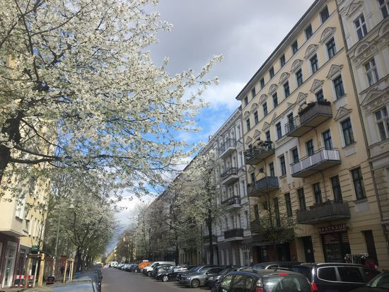 Frühling in Prenzlauer Berg