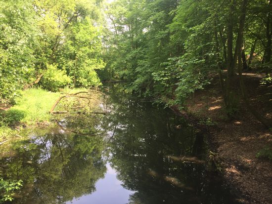 Wunderschöne Flusslandschaft und ein schöner Radweg direkt daneben