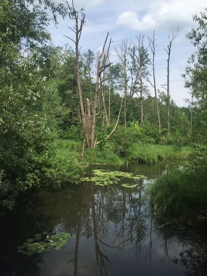 Tolle naturbelassene Landschaft