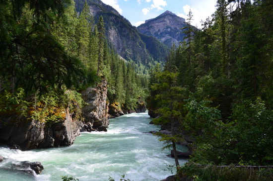 Spaziergang zu den Dawson Falls