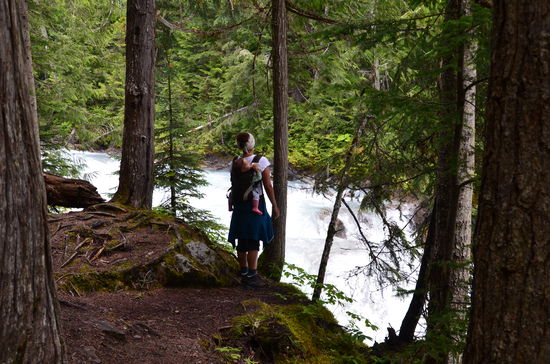 immer am Robson River entlang...