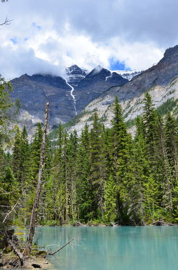 .. und Richtung Mt. Robson