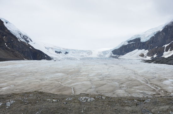 Toe of the Altabasca Glacier
Der Gletscher hat sich die letzten 100 Jahre um 1,5km zurück gezogen