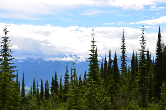 unten im Tal spitzelt der Ort Revelstoke