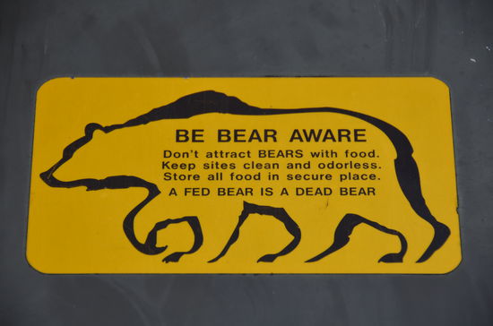 Bären weiterhin nur auf Bildern