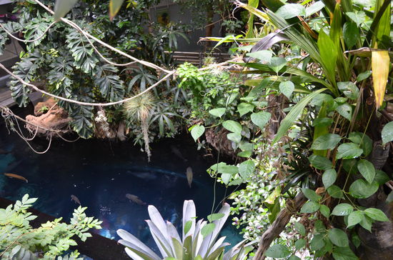 Unten Aquarium, oben Urwald