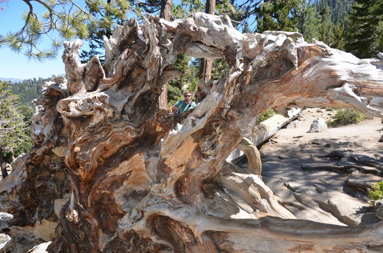 checkt das jemand das ich da mit drauf bin auf dem Bild? frägt er mich....