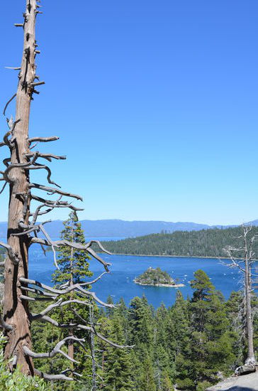 ja, da ist auch die Burg zu sehen
