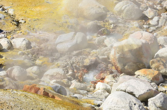 ich kanns immer noch riechen 