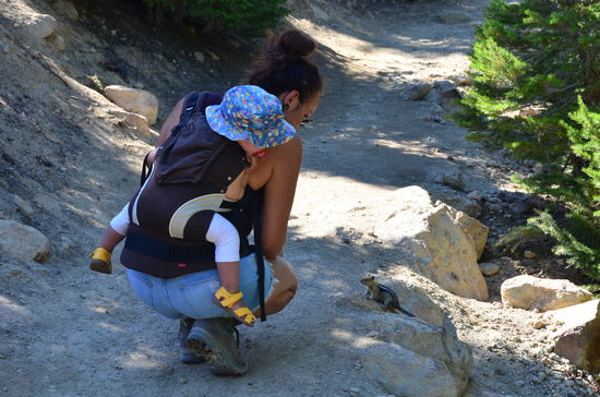 wär mir fast in den Rucksack zu Elisa gehüpft 