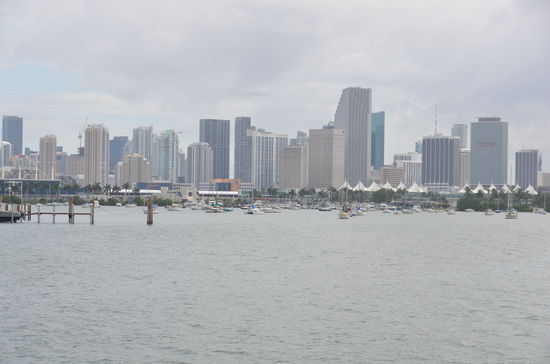 Skyline Downtown Miami