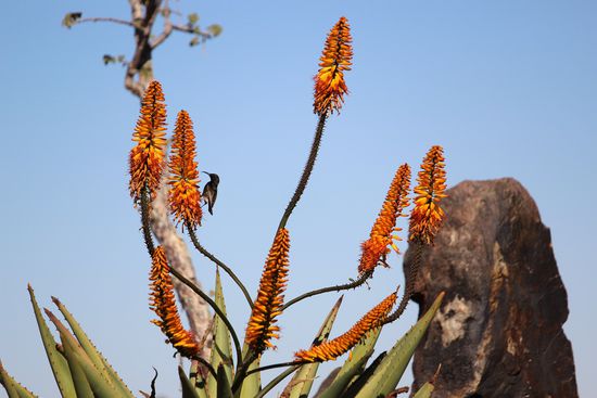 ...oder in der Luft.