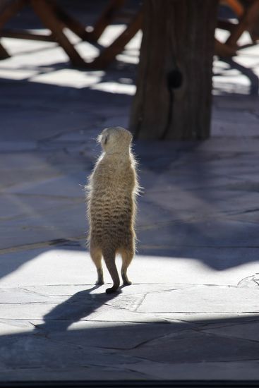 ...und ein Ausreißer