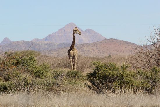 ...aber trotz allem relaxed.