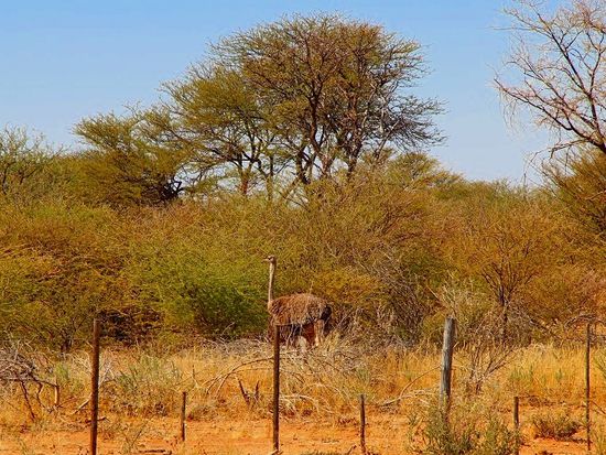 Und auch die Tierwelt fordert manch kurzen Stop ein.