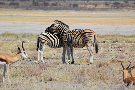 Da hat sich aber wer ganz dolle lieb.