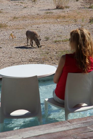 ...was auch von der Tierwelt gelegentlich bestaunt wird.