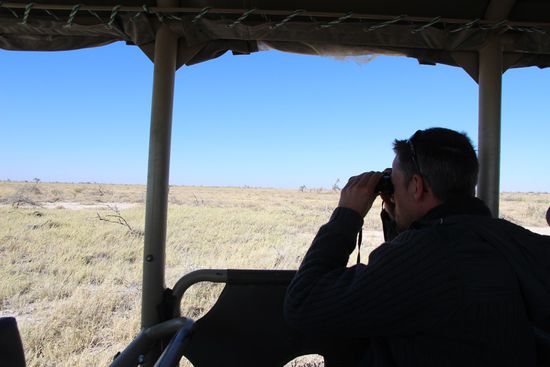 Wo ist sie bloß, die Löwin? Versteckte sich im hohen Gras, um ihrer anvisierten Beute zu folgen - in diesem Fall war es ein Warzenschwein, welches sie vor sich hertrieb.