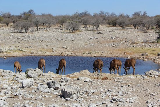 Fanden wir irgendwie fotogen...